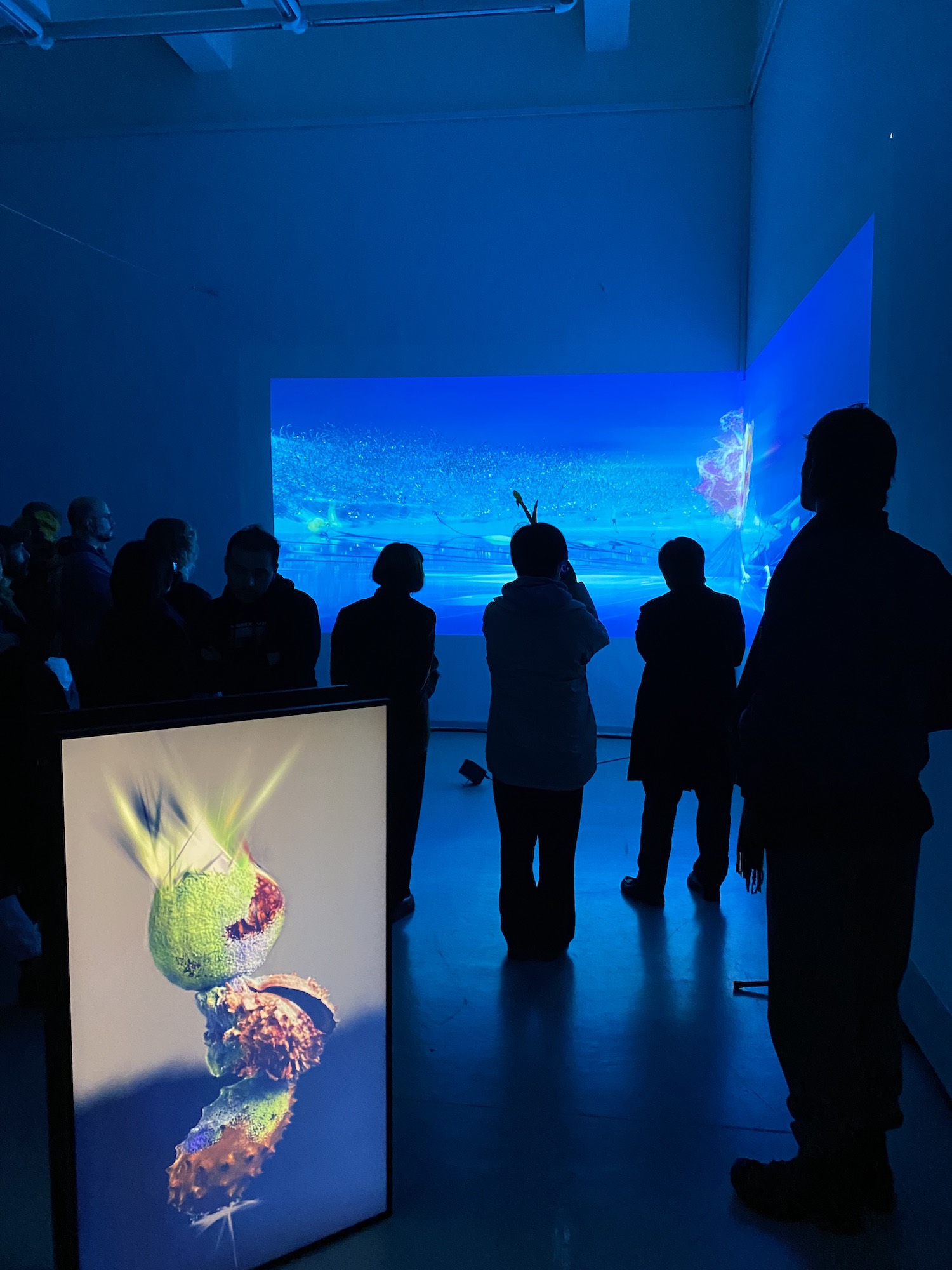 A picture of the screnning at UdK